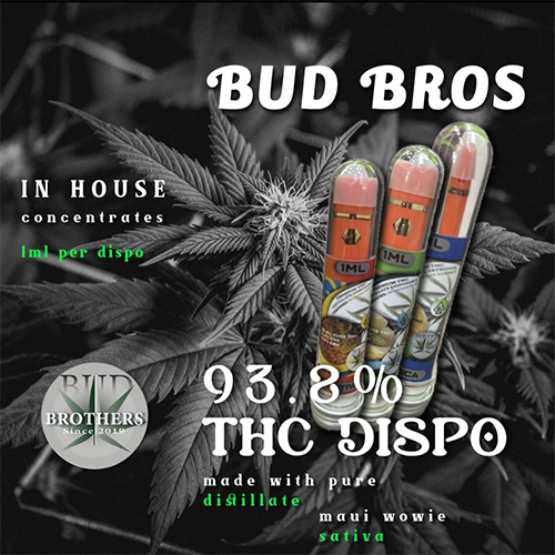 bud-brothers-1g-disposable-maui-wowie-sativa Bud Brothers 1G Disposable - Maui Wowie Sativa - Image 1